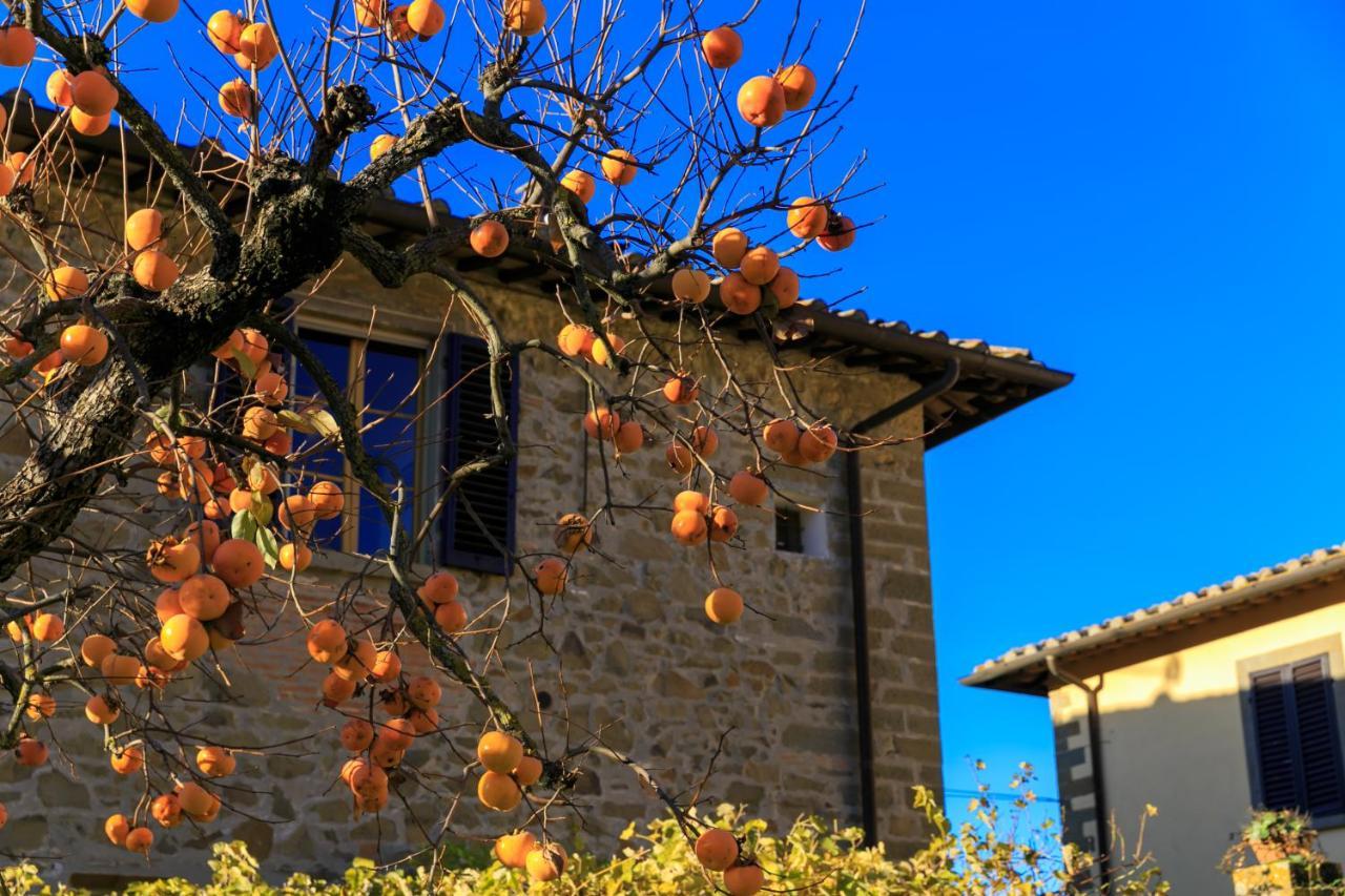 Agriturismo Fattoria Santo Stefano Greve in Chianti Buitenkant foto