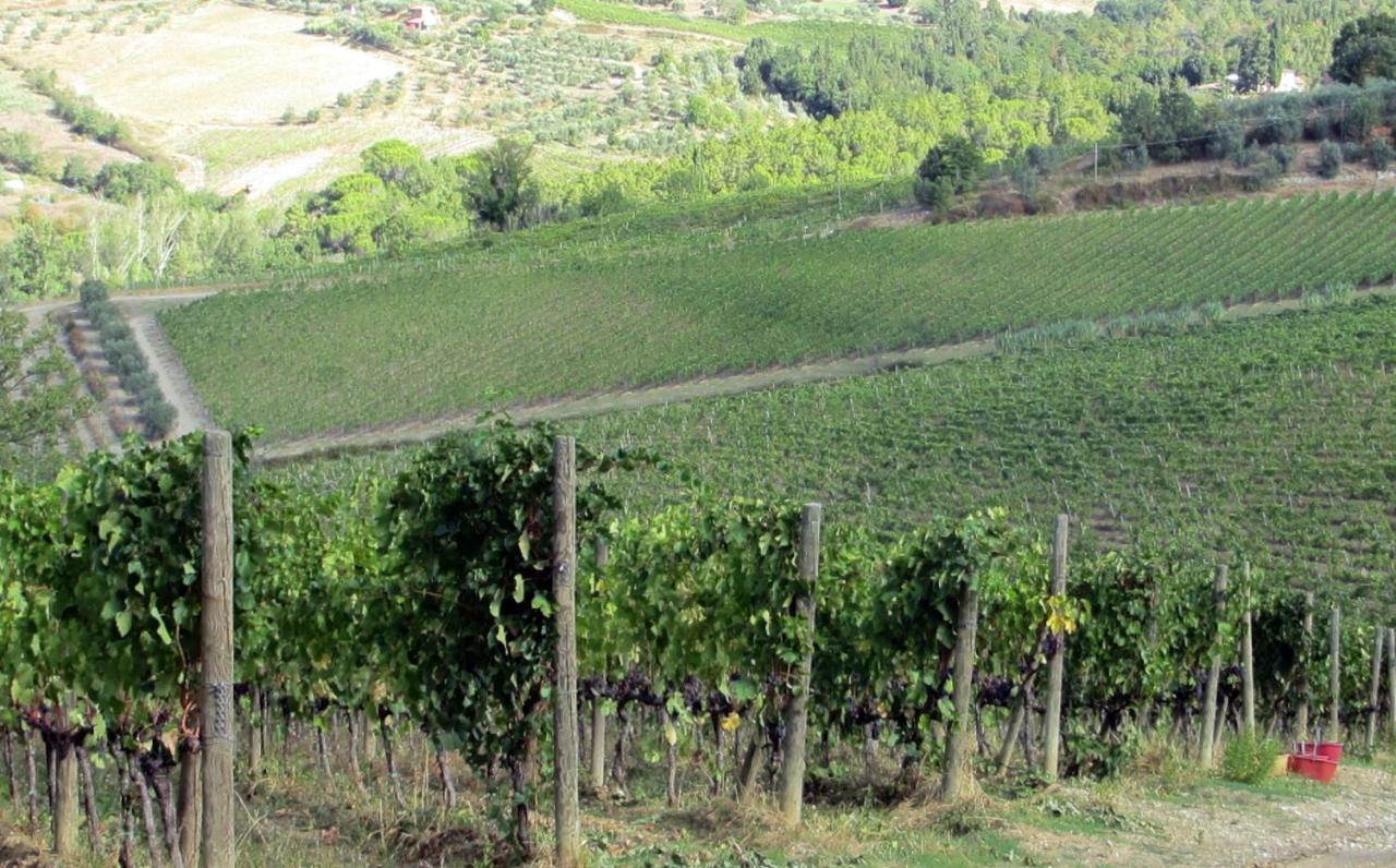 Agriturismo Fattoria Santo Stefano Greve in Chianti Buitenkant foto